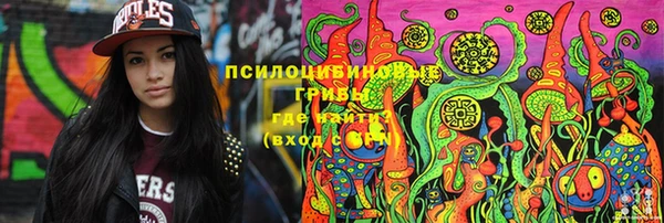 круглые Алзамай
